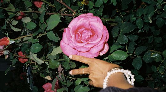Como La Flor w/ Brownskinhazel